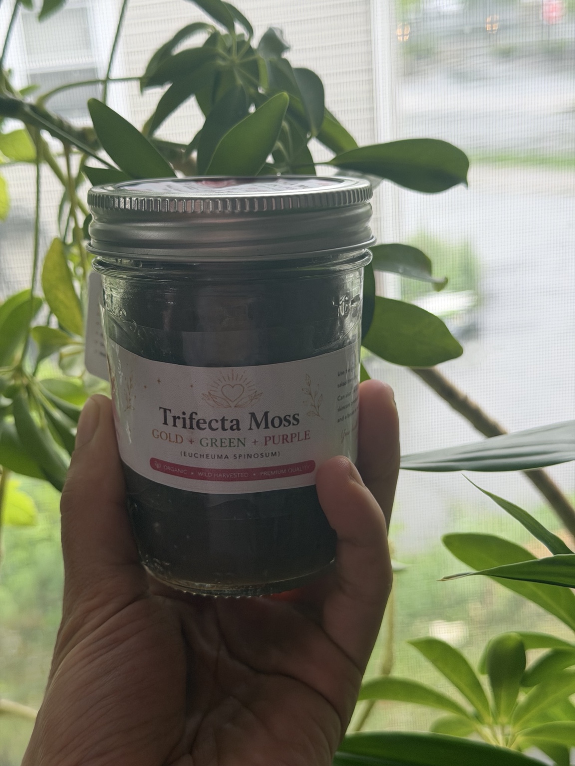 Inner Creativity Trifecta Sea Moss jar